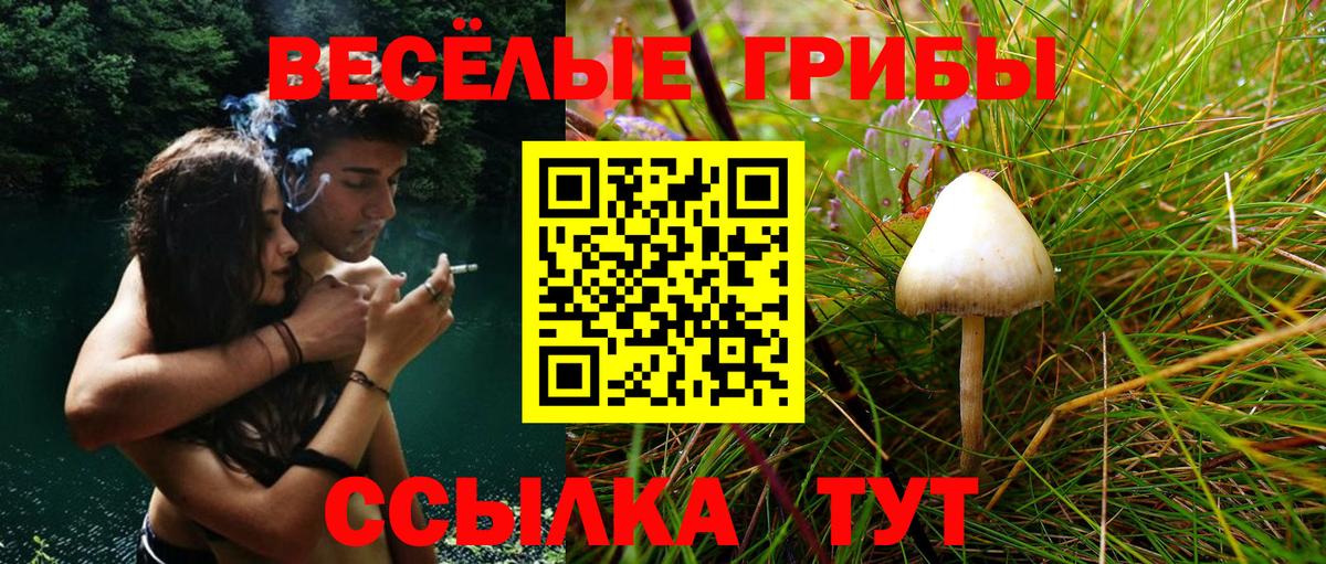 Псилоцибиновые грибы Magic Shrooms Белгород