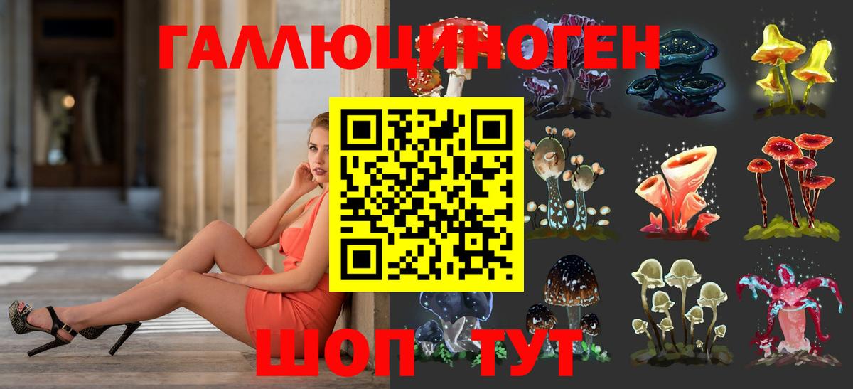 Галлюциногенные грибы Psilocybine cubensis Белгород